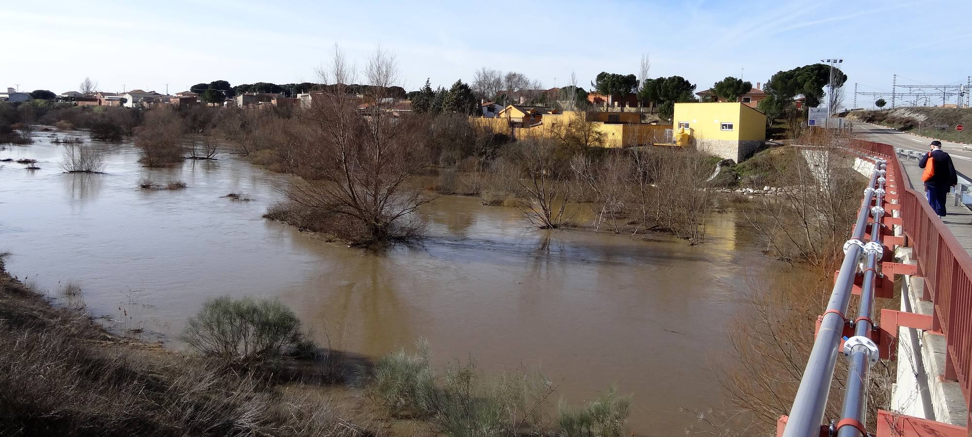 El río Adaja a su paso por Valdestillas.