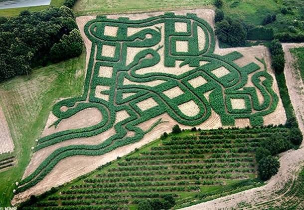 Snakes' n Ladders, en Rochester (Nueva York). Michael Blee construyó este laberinto haciendo honor al mítico juego de las serpientes y las escaleras.