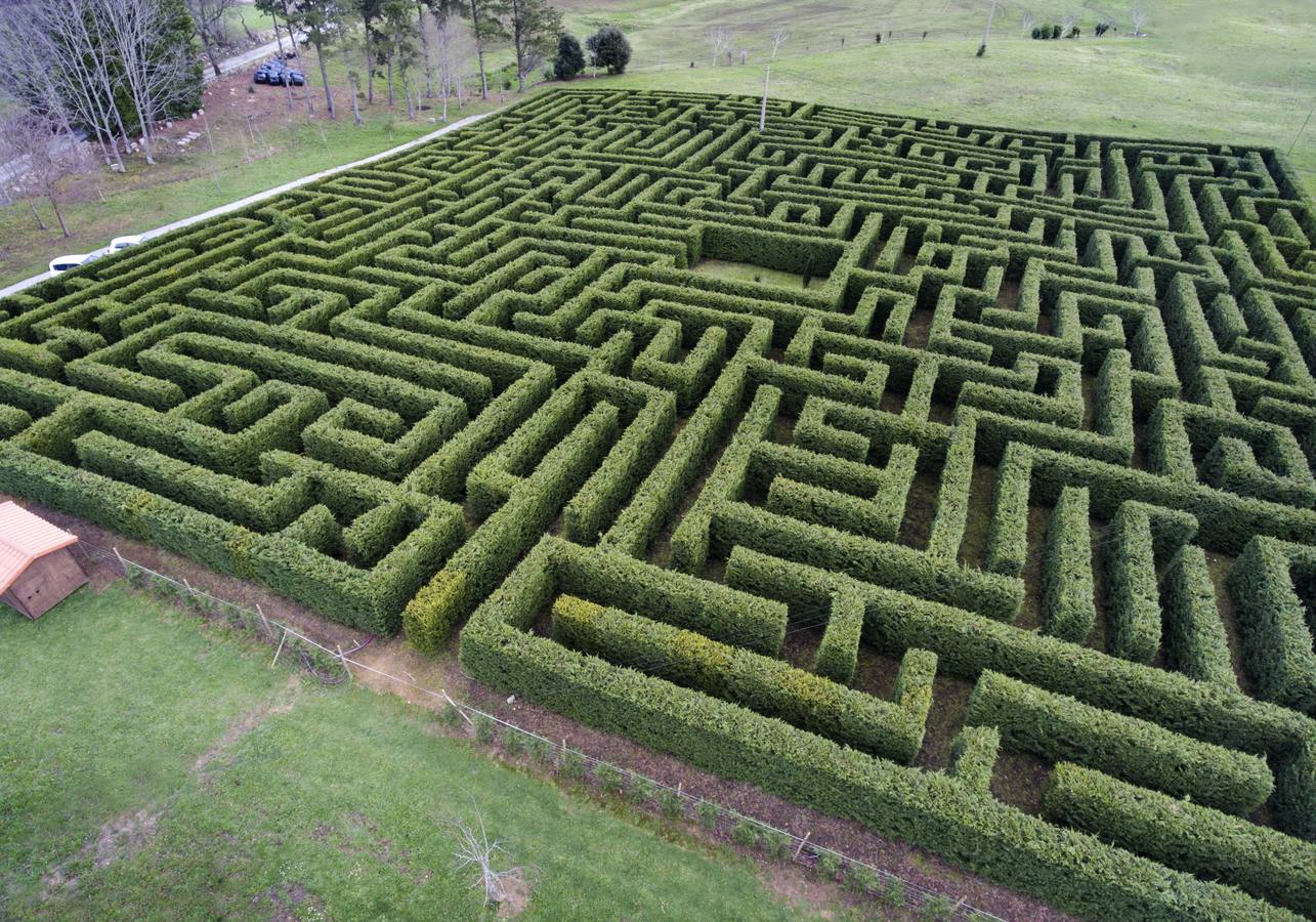 Laberinto de pinos de Villapresente (Cantabria).