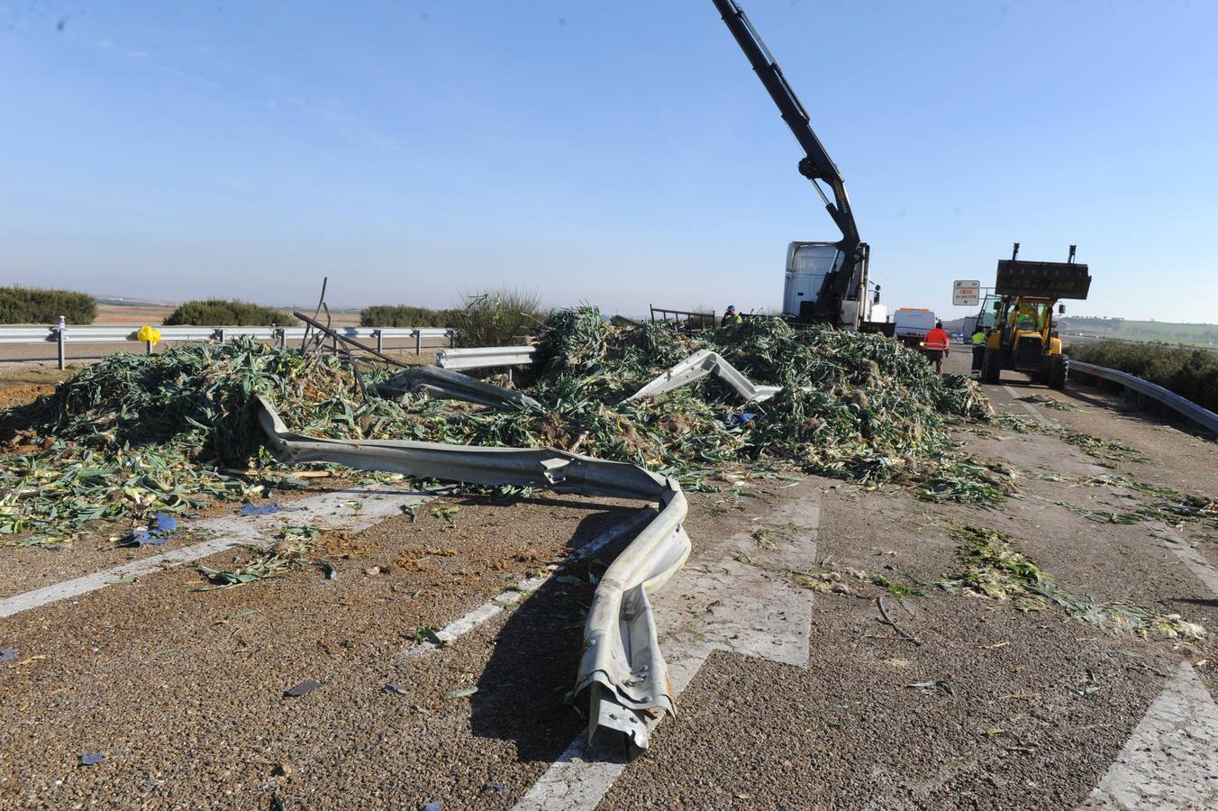 Vuelca un camión cargado de cebollas en la A-62 a la altura de Alaejos