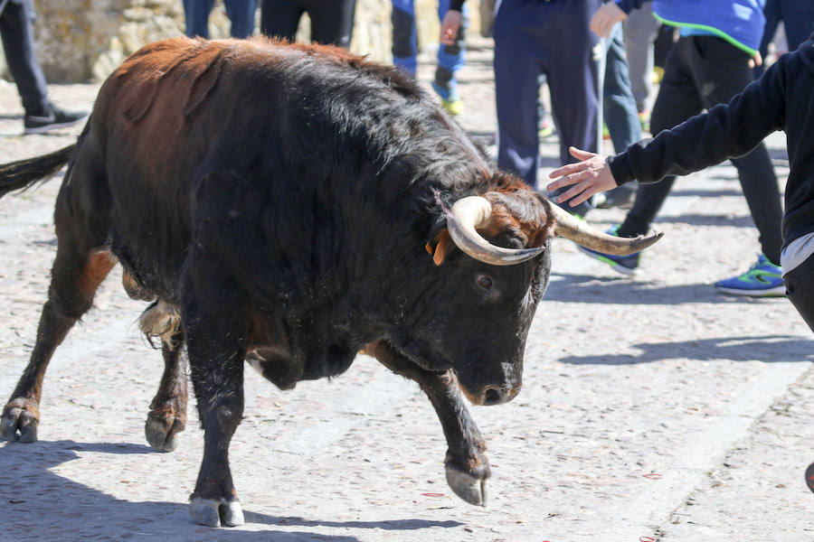 Encierro de carnaval el sábado en Ciudad Rodrigo