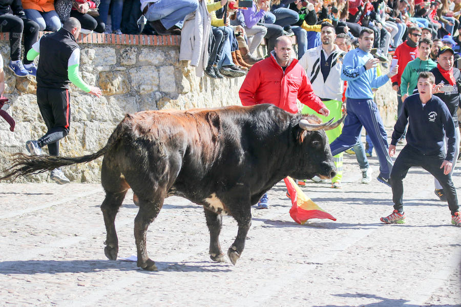 Encierro de carnaval el sábado en Ciudad Rodrigo