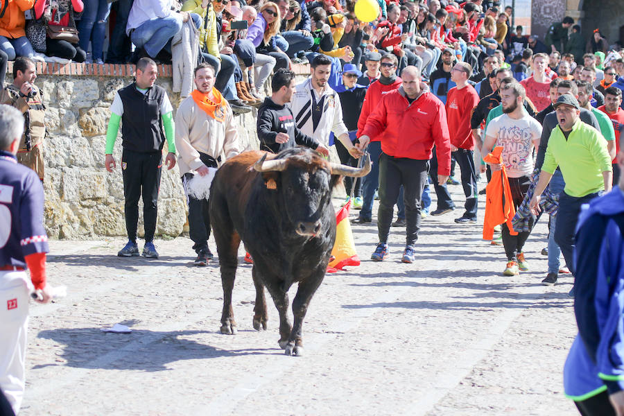 Encierro de carnaval el sábado en Ciudad Rodrigo