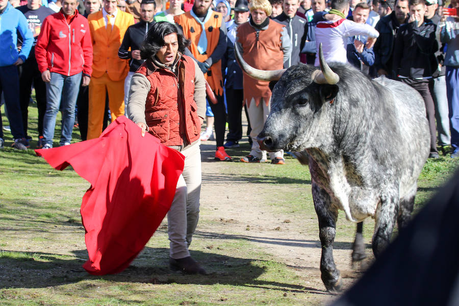 Encierro de carnaval el sábado en Ciudad Rodrigo