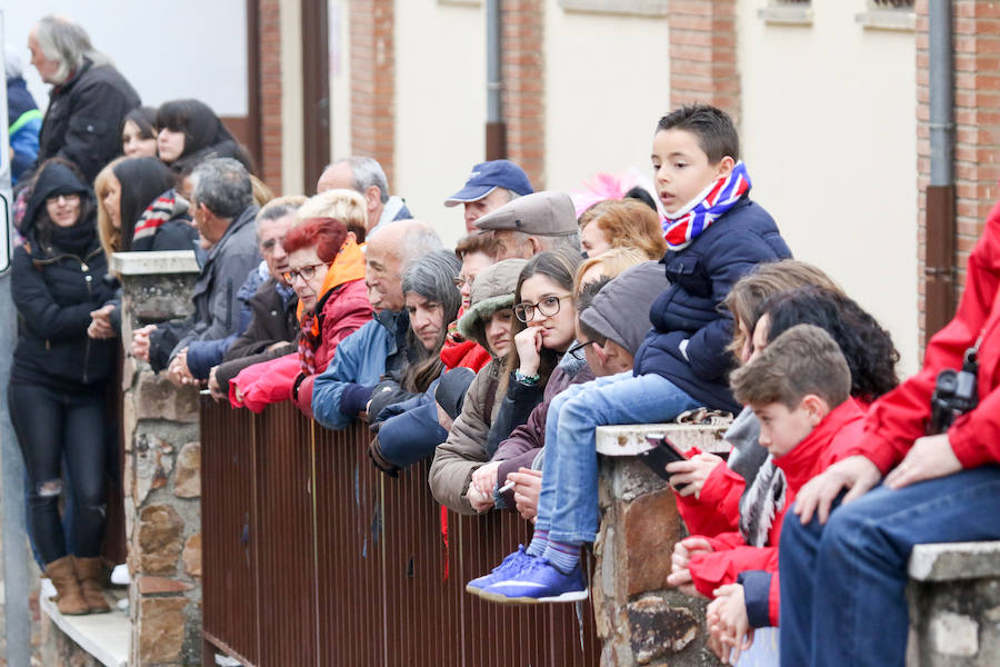 Encierro y capea en Ciudad Rodrigo