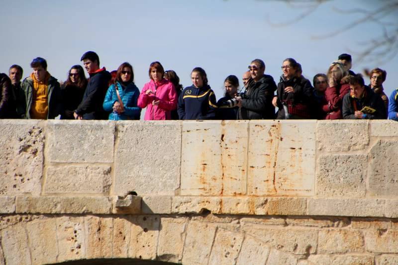Campeonato de Invierno de Piragüismo en Torquemada (Palencia)