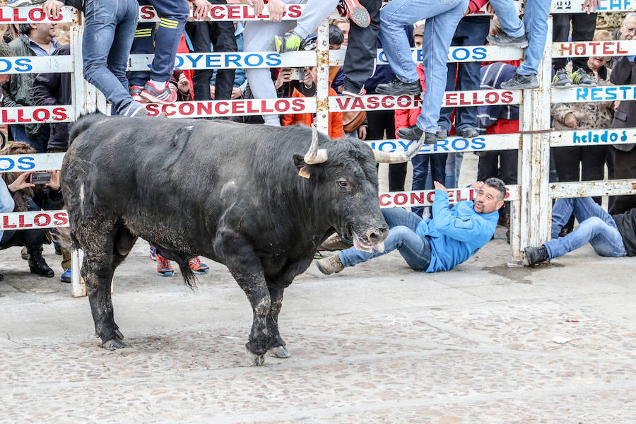 Encierro y capea el lunes de carnaval en Ciudad Rodrigo