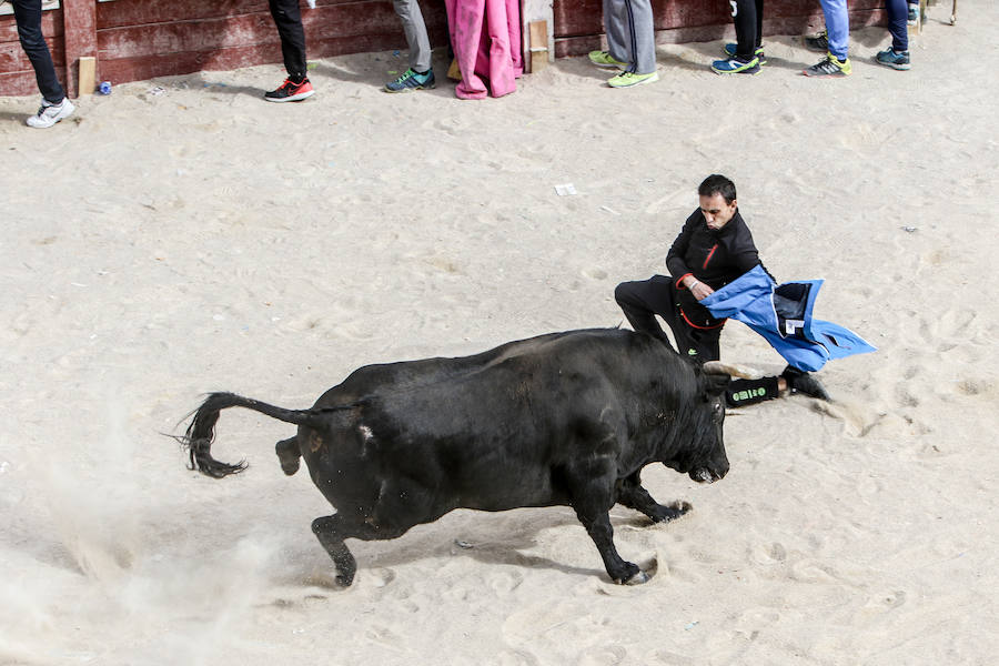 Encierro y capea el lunes de carnaval en Ciudad Rodrigo