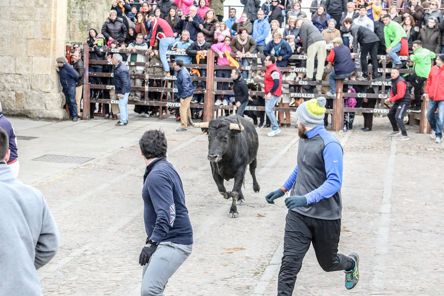 Encierro y capea el lunes de carnaval en Ciudad Rodrigo
