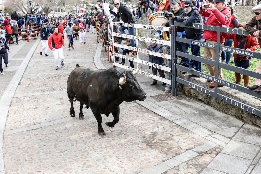 Encierro y capea el lunes de carnaval en Ciudad Rodrigo