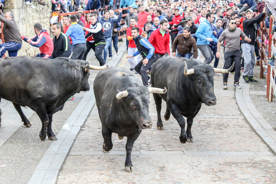 Encierro y capea el lunes de carnaval en Ciudad Rodrigo