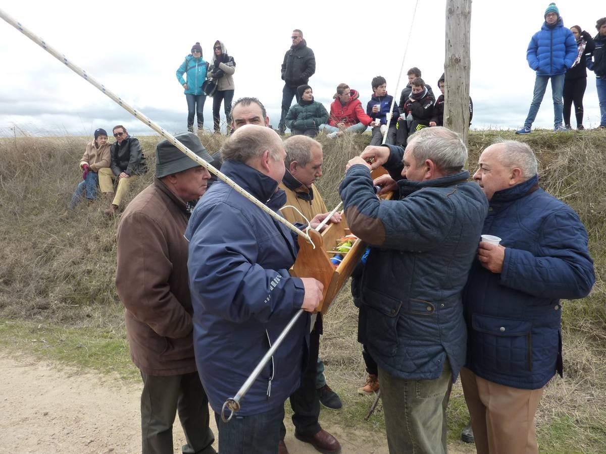 Carrera de cintas a caballo de Torrelobatón (Valladolid)