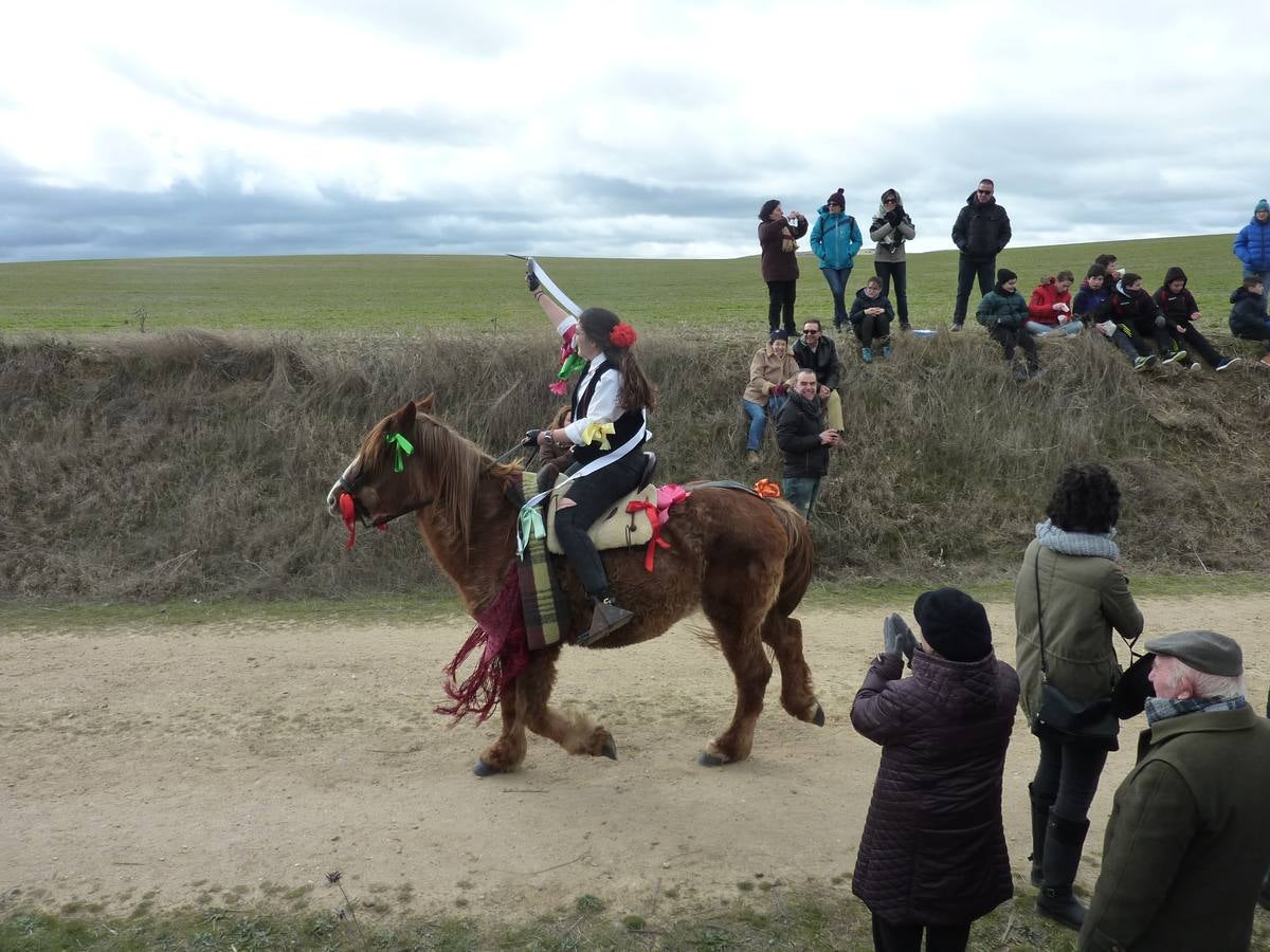 Carrera de cintas a caballo de Torrelobatón (Valladolid)