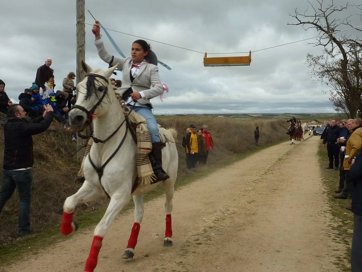 Carrera de cintas a caballo de Torrelobatón (Valladolid)