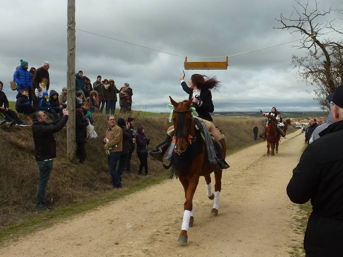 Carrera de cintas a caballo de Torrelobatón (Valladolid)