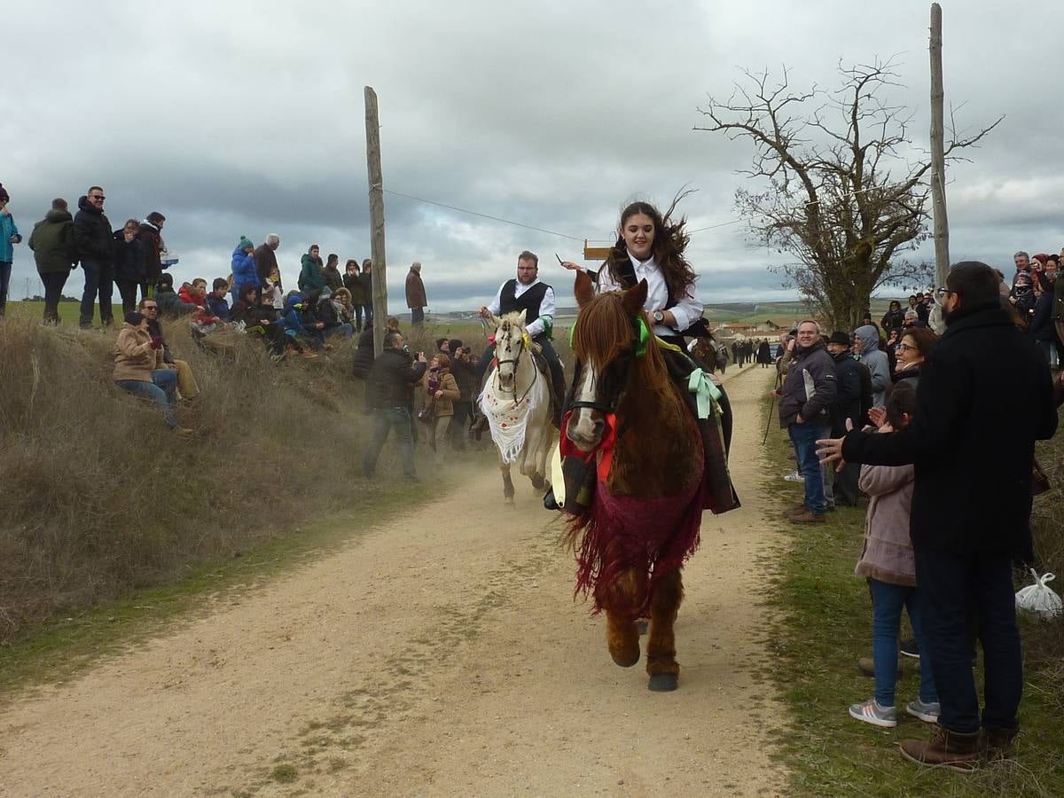 Carrera de cintas a caballo de Torrelobatón (Valladolid)