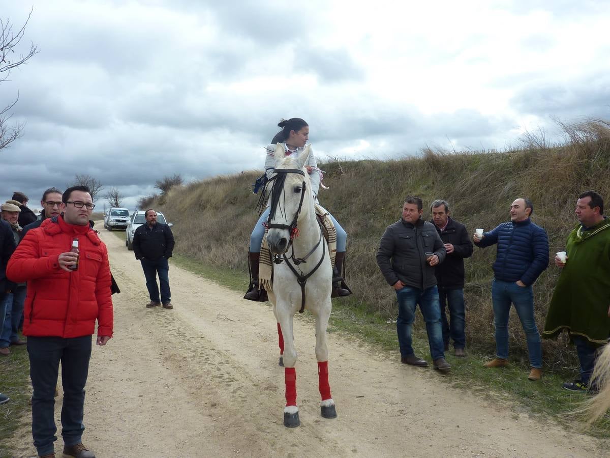 Carrera de cintas a caballo de Torrelobatón (Valladolid)