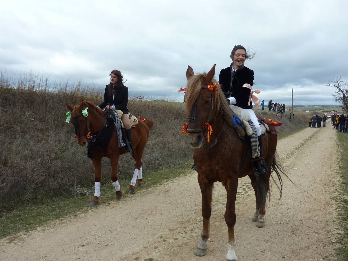 Carrera de cintas a caballo de Torrelobatón (Valladolid)