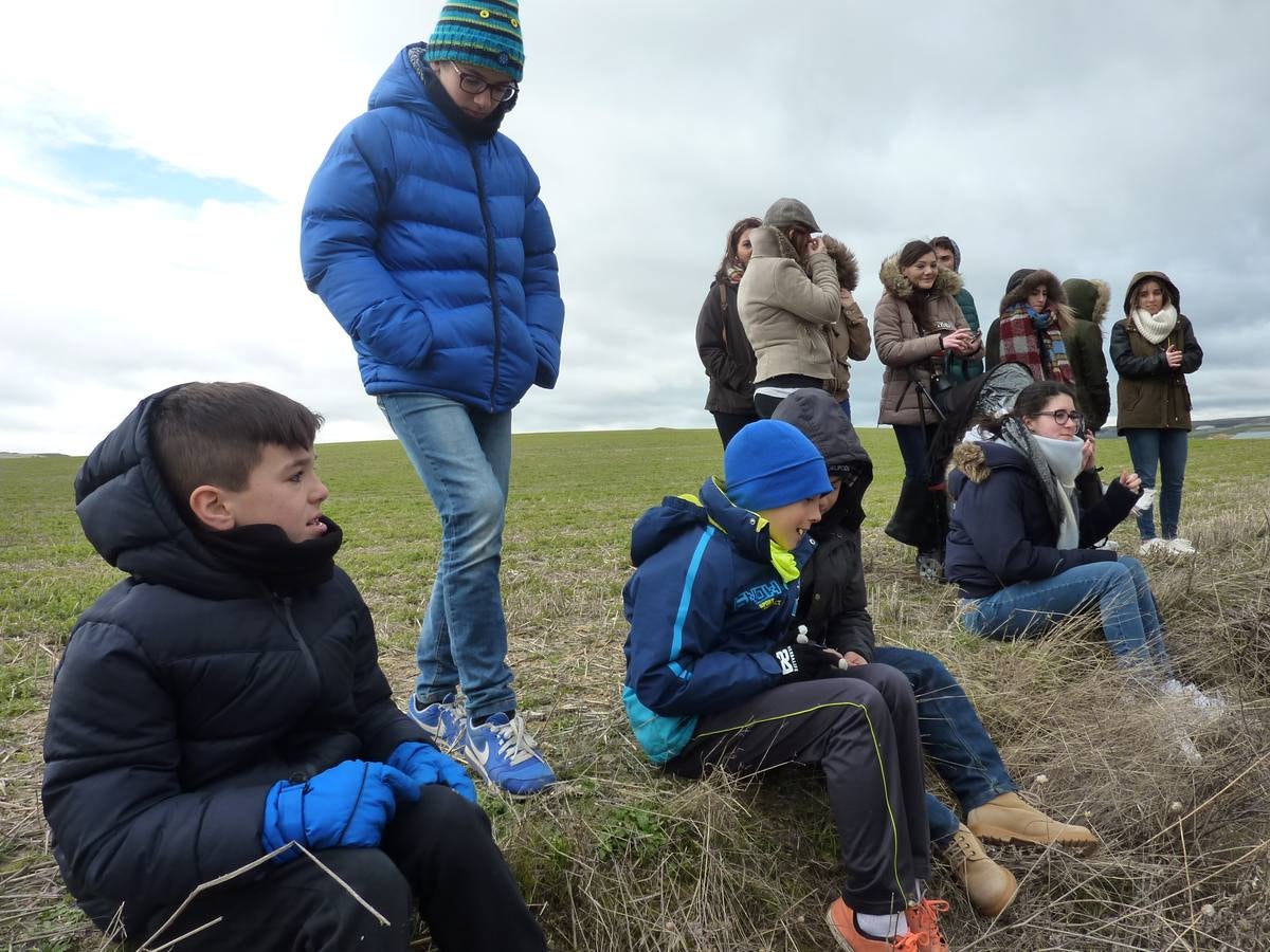 Carrera de cintas a caballo de Torrelobatón (Valladolid)