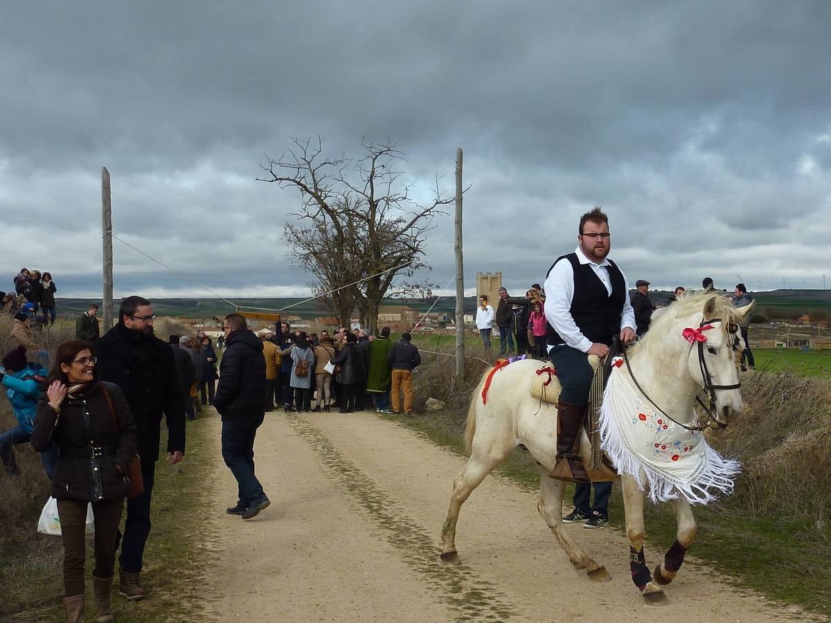 Carrera de cintas a caballo de Torrelobatón (Valladolid)