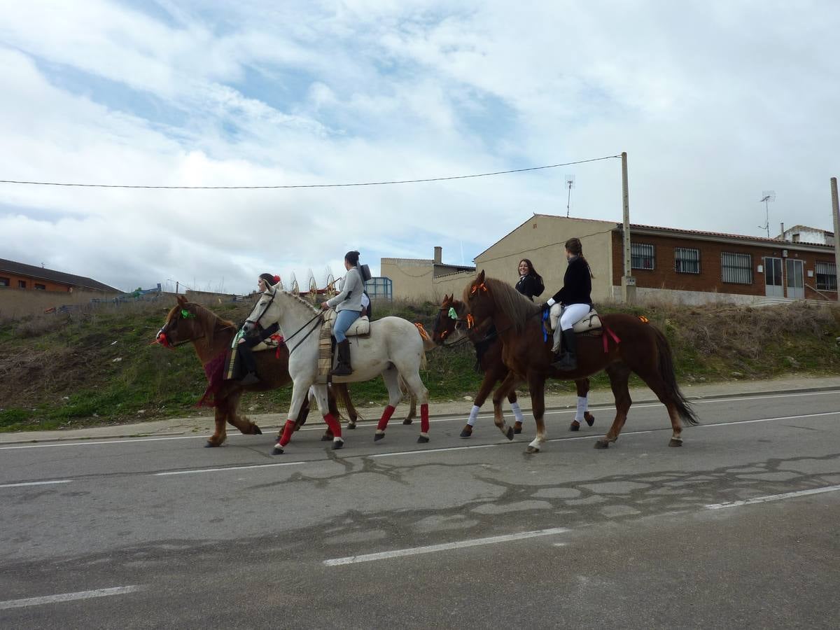 Carrera de cintas a caballo de Torrelobatón (Valladolid)