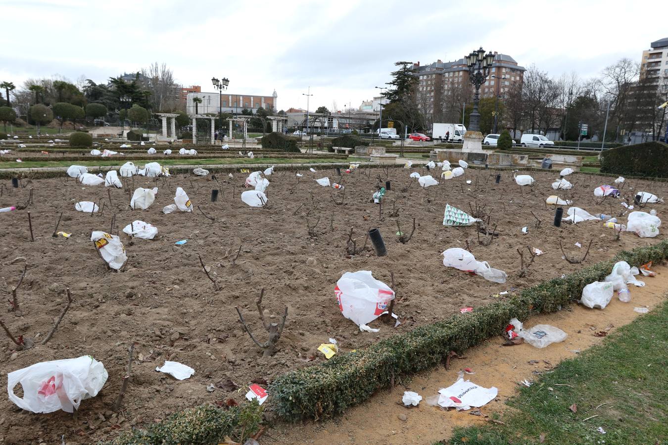 Restos del macrobotellón del lunes de carnaval en el entorno de Las Moreras