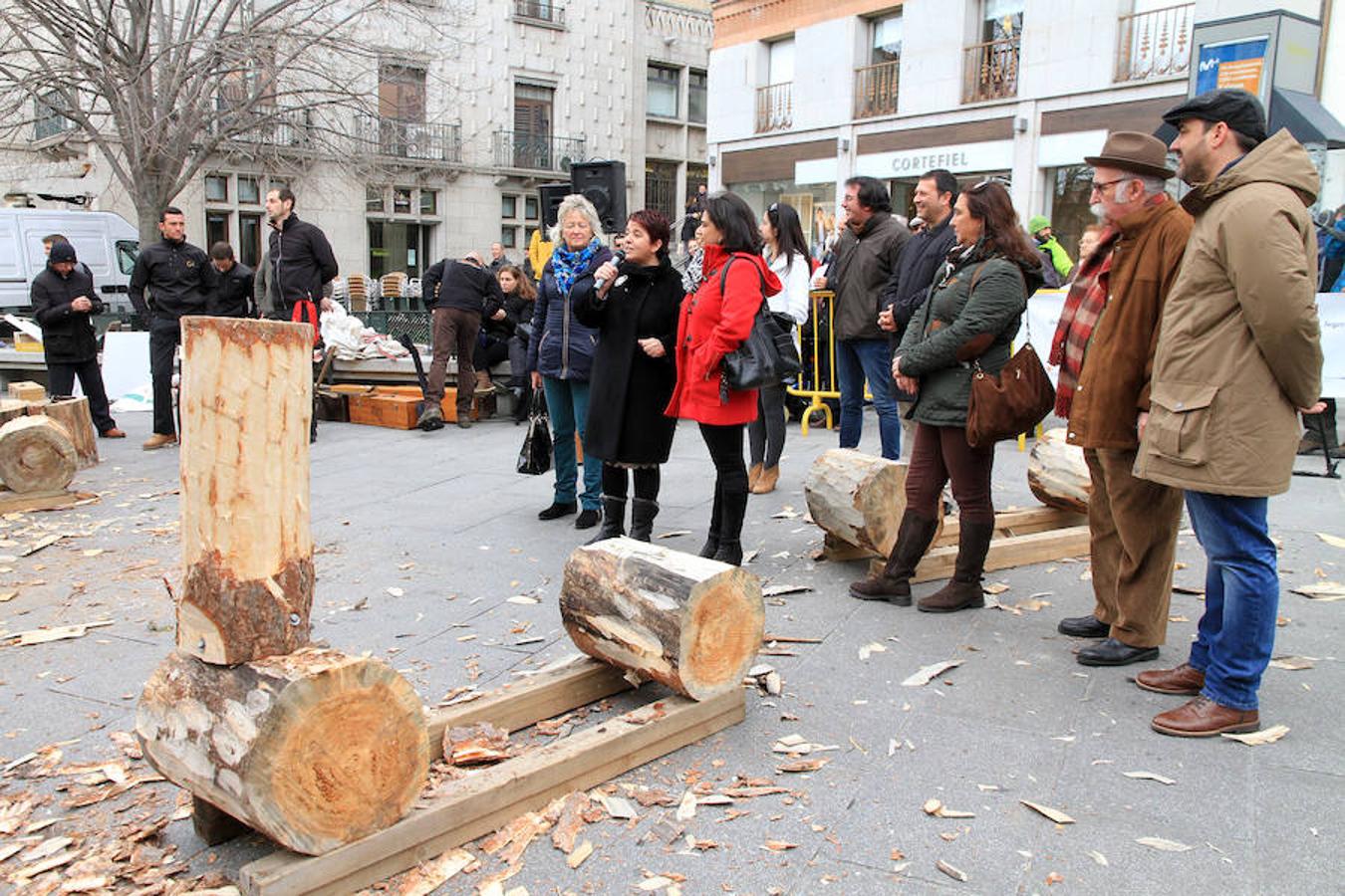 Fiesta de los gabarreros en Segovia