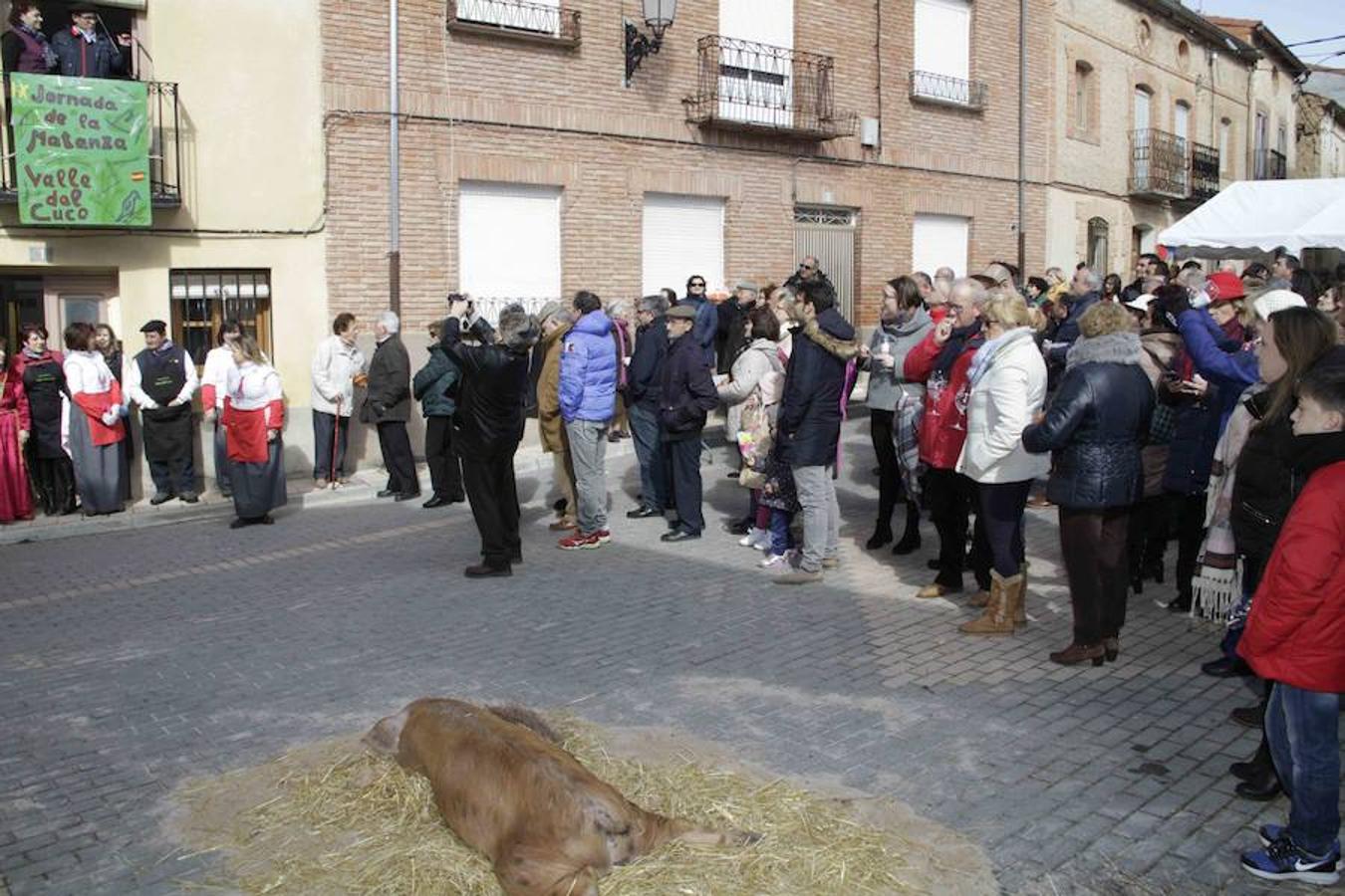 IX Jornada de la Matanza y del vino de la Ribera del Duero del Valle del Cuco en Corrales de Duego