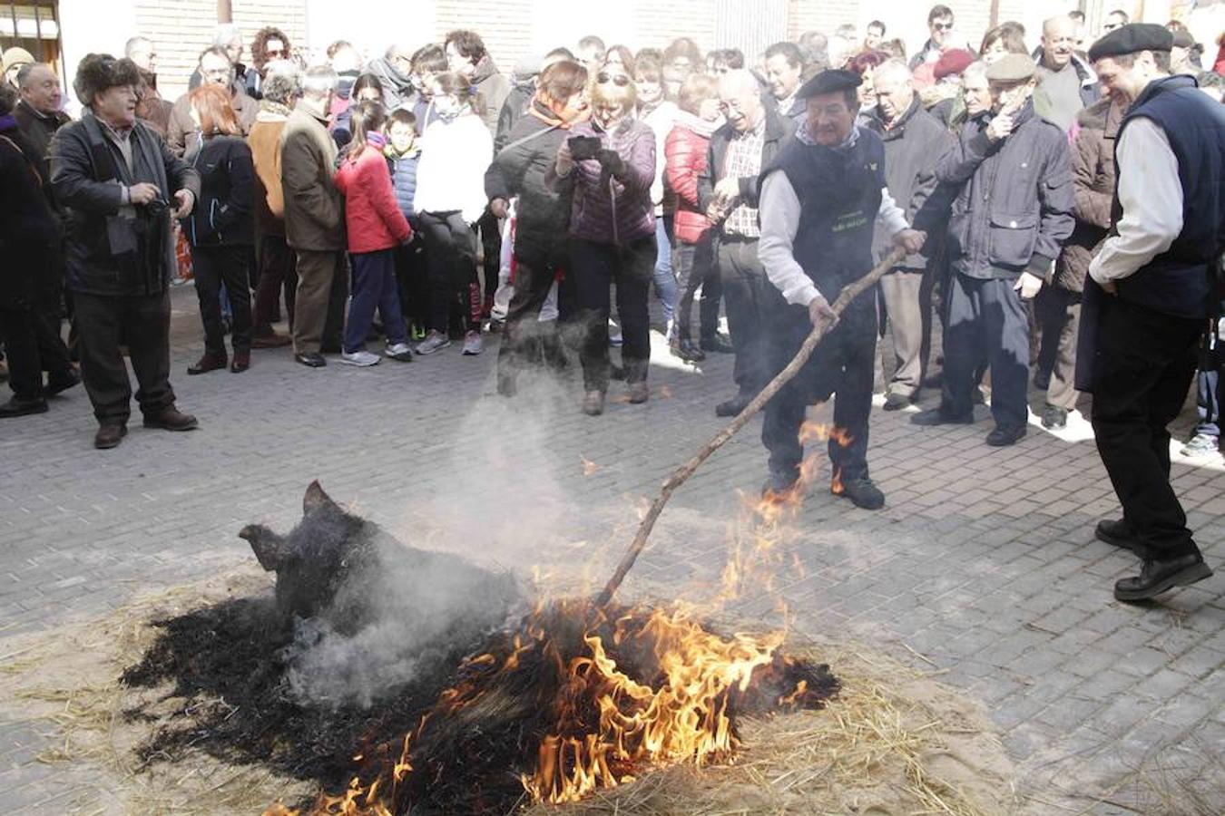 IX Jornada de la Matanza y del vino de la Ribera del Duero del Valle del Cuco en Corrales de Duego