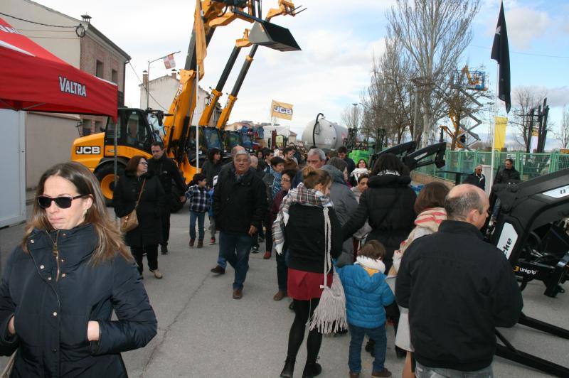 Feria del Ángel de Fuentepelayo (Segovia)