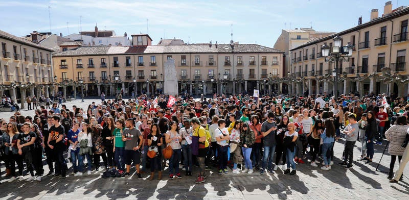 Palencia apoya la huelga en Educación