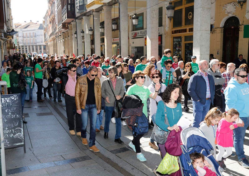 Palencia apoya la huelga en Educación