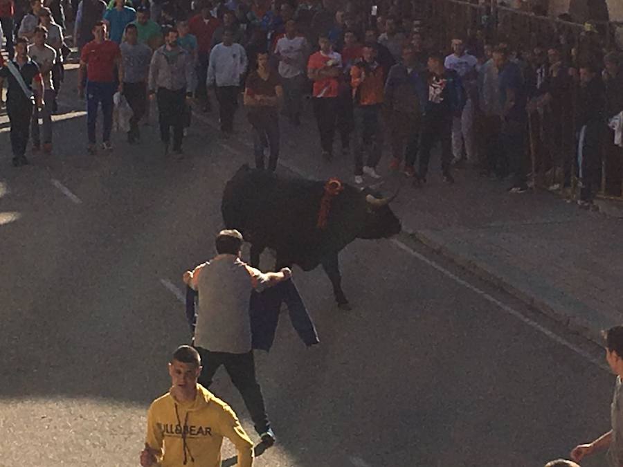II Toro del Marqués en Mota del Marqués