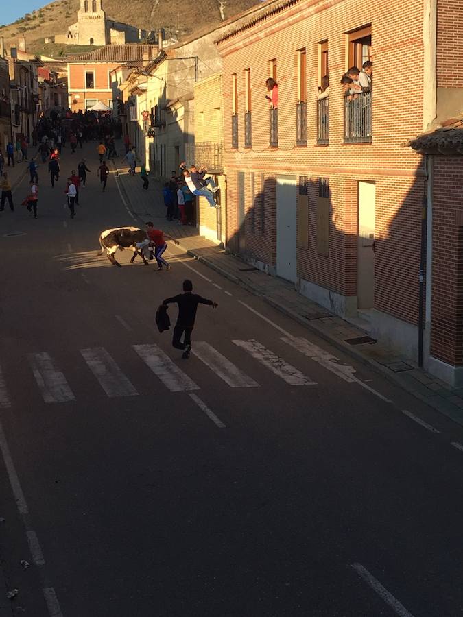 II Toro del Marqués en Mota del Marqués