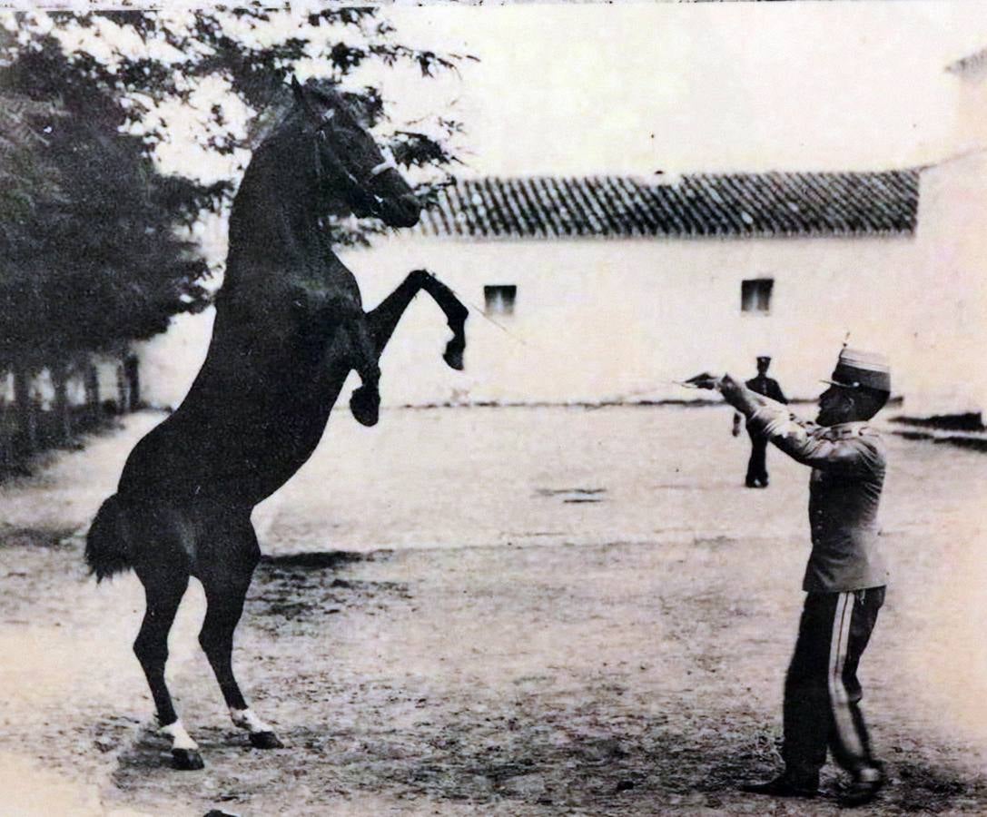 Homenaje al caballo en la Academia de Caballería de Valladolid