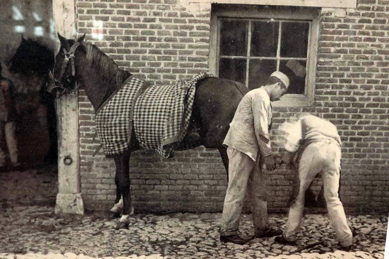Homenaje al caballo en la Academia de Caballería de Valladolid