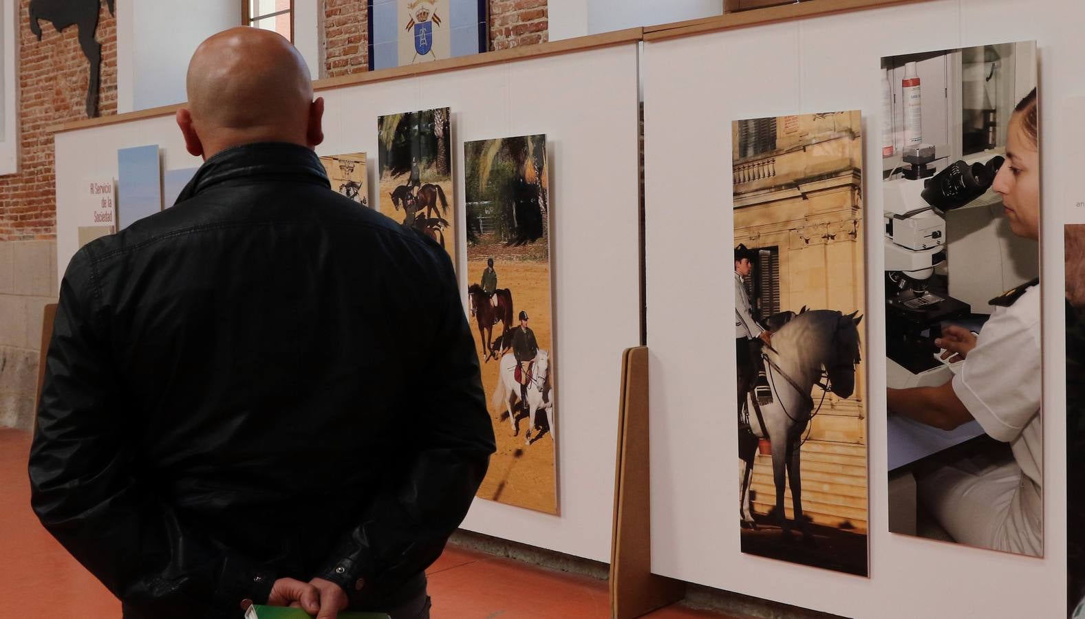 Homenaje al caballo en la Academia de Caballería de Valladolid