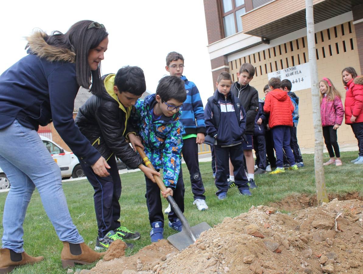 Escolares palentinos celebran el Día del Árbol