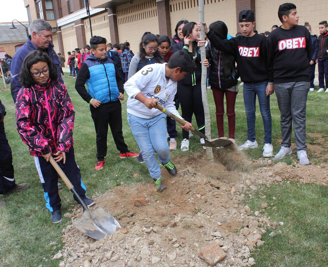 Escolares palentinos celebran el Día del Árbol
