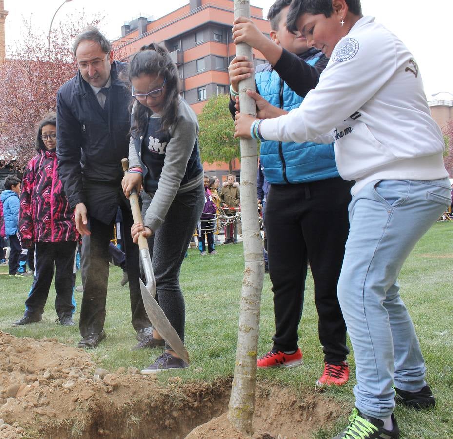 Escolares palentinos celebran el Día del Árbol