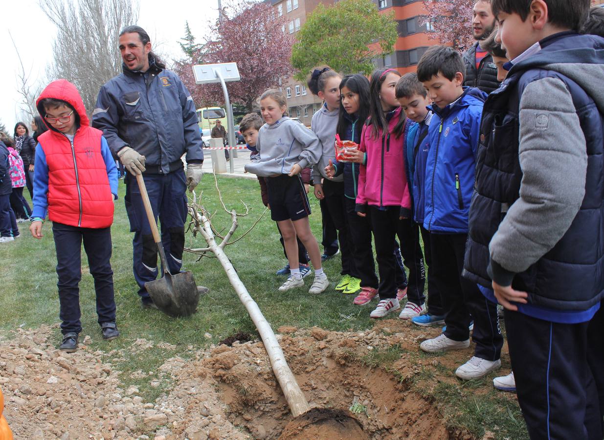 Escolares palentinos celebran el Día del Árbol
