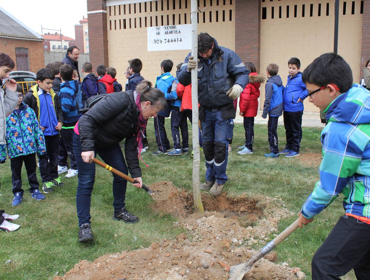 Escolares palentinos celebran el Día del Árbol