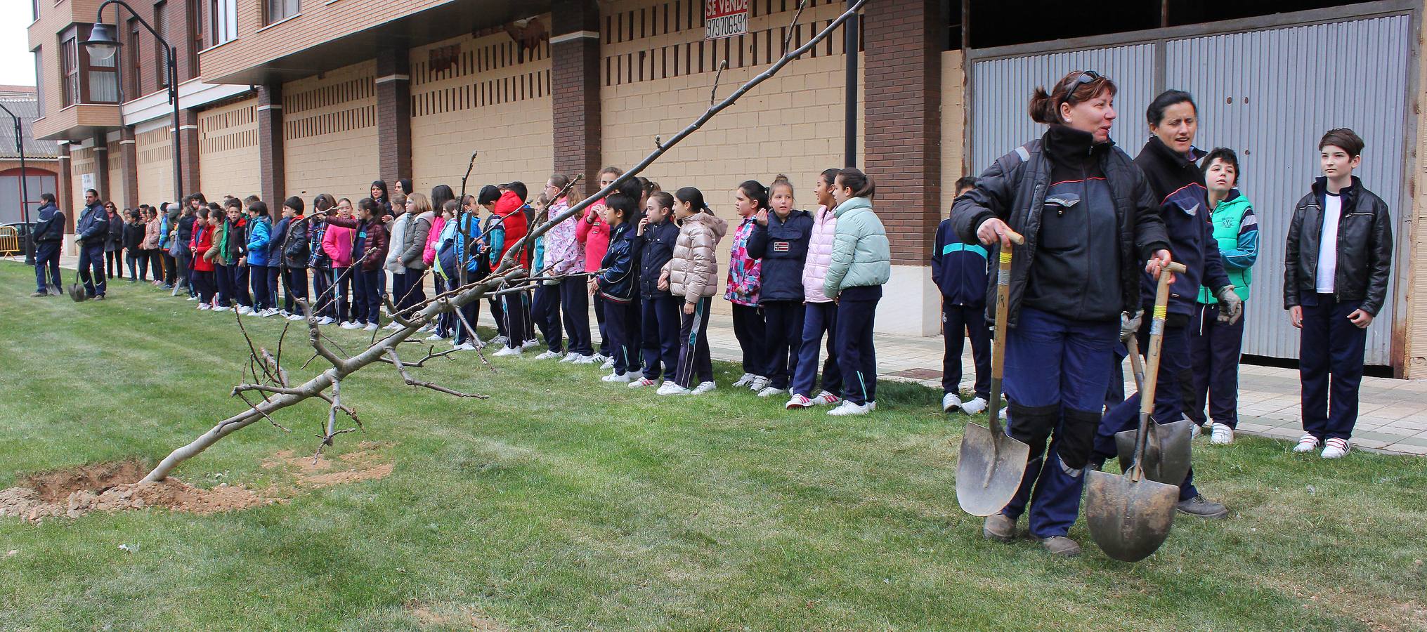 Escolares palentinos celebran el Día del Árbol