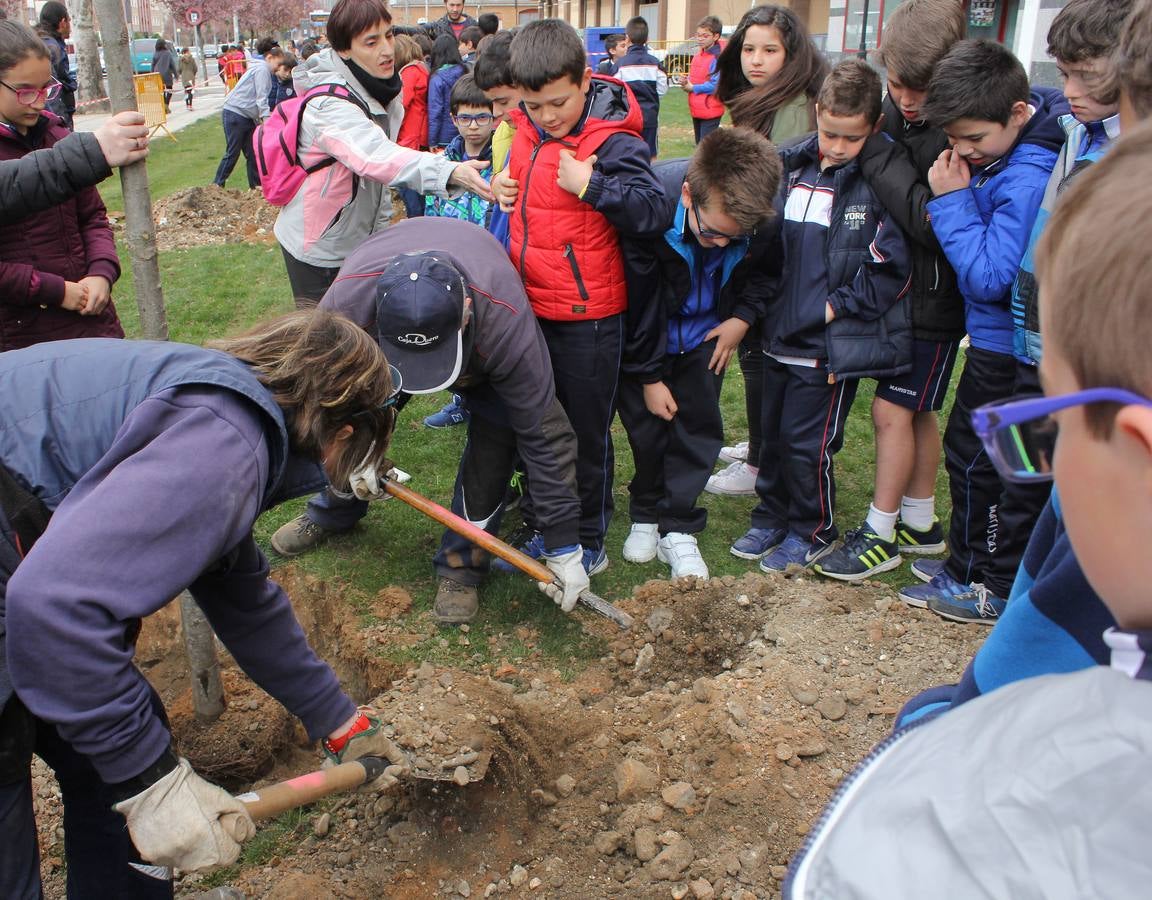 Escolares palentinos celebran el Día del Árbol