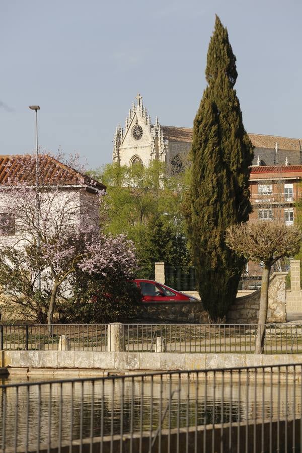 El otro Palencia (II): la dársena del Canal de Castilla