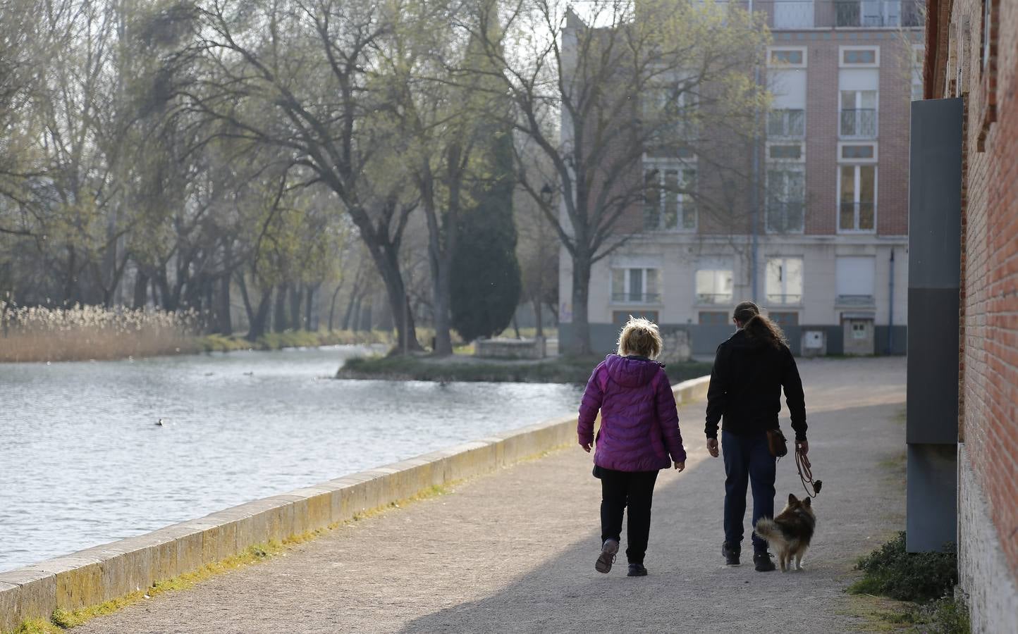 El otro Palencia (II): la dársena del Canal de Castilla