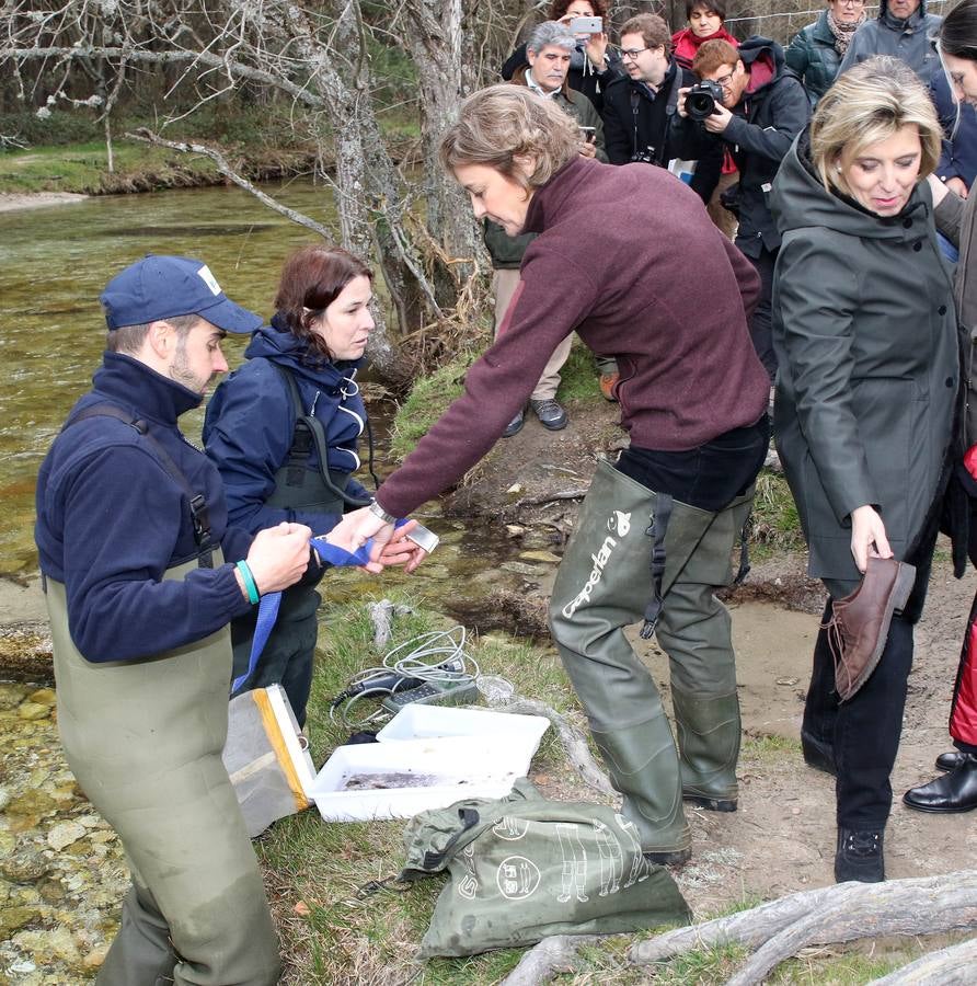 La ministra de Agricultura conmemora el Día Mundial del Agua en Valsaín (Segovia)
