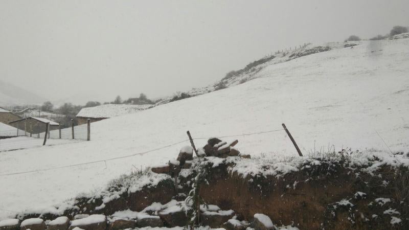 La nieve tiñe de blanco el norte de Palencia