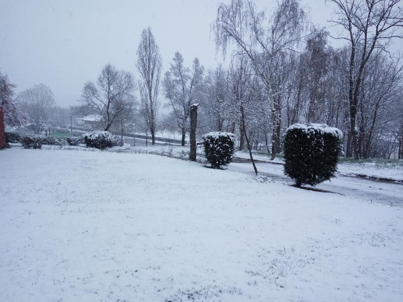 La nieve tiñe de blanco el norte de Palencia