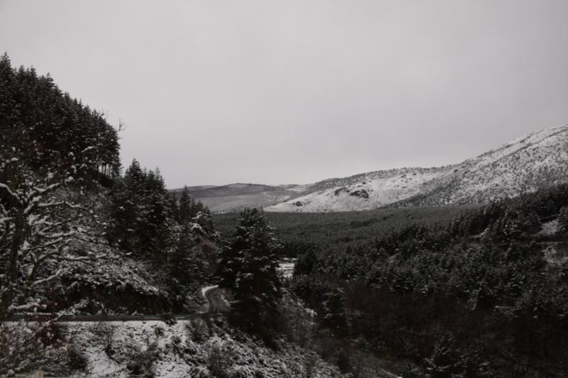 La nieve tiñe de blanco el norte de Palencia